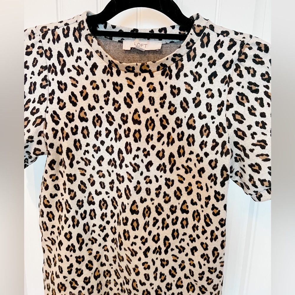 Loft | Leopard Print Short-Sleeve Sweater Top | Size XS - Picture 3 of 3